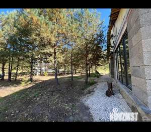 Дом 150м&sup2;, 1-этажный, участок 12 сот.  