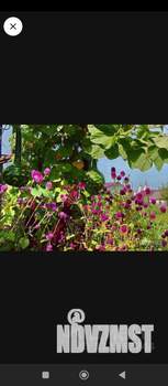 Дом 50м&sup2;, 1-этажный, участок 6 сот.  