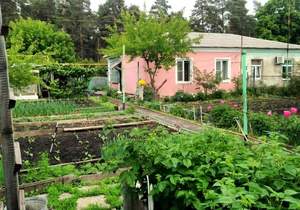 Дом 49м&sup2;, 2-этажный, участок 6 сот.  