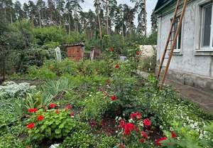 Дом 102м&sup2;, 1-этажный, участок 10 сот.  