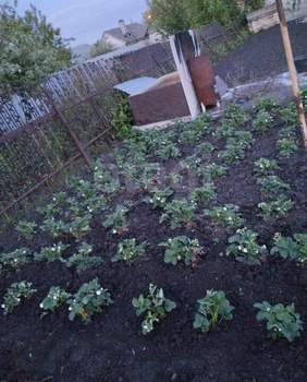 Дом 129м&sup2;, 1-этажный, участок 13 сот.  