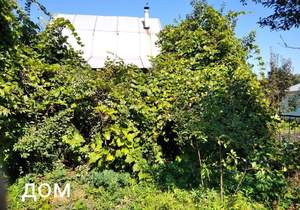 Дом 44м², 2-этажный, участок 4 сот.  