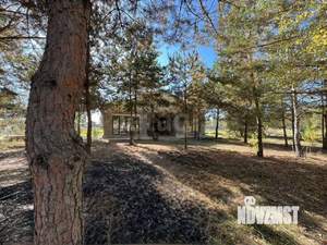 Дом 150м&sup2;, 1-этажный, участок 12 сот.  