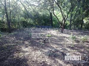 Дом 46м&sup2;, 2-этажный, участок 5 сот.  