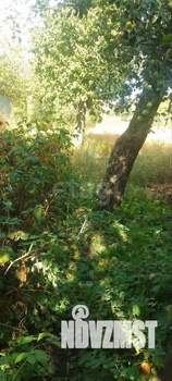 Дом 75м&sup2;, 1-этажный, участок 7 сот.  