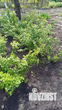 Дом 80м&sup2;, 2-этажный, участок 7 сот.  