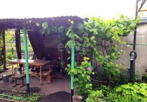 Дом 49м&sup2;, 2-этажный, участок 6 сот.  