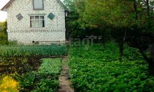 Дом 20м&sup2;, 2-этажный, участок 4 сот.  