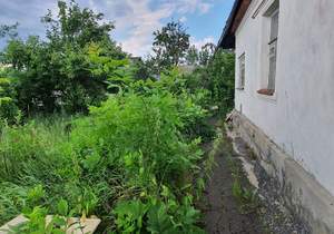 Дом 55м², 1-этажный, участок 5 сот.  
