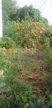 Дом 75м&sup2;, 1-этажный, участок 7 сот.  