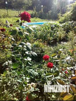 Дом 30м&sup2;, 2-этажный, участок 8 сот.  