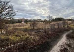 Дом 73м&sup2;, 2-этажный, участок 10 сот.  