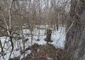 Дом 55м&sup2;, 2-этажный, участок 5 сот.  