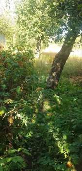 Дом 75м&sup2;, 1-этажный, участок 7 сот.  