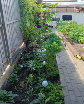 Дом 73м&sup2;, 1-этажный, участок 4 сот.  