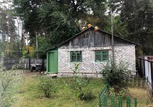 Дом 57м&sup2;, 2-этажный, участок 6 сот.  