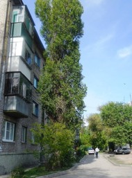 комната в общежитии, 11м2, 2/5 этаж