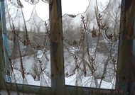 Фото комнаты на продажу (6)