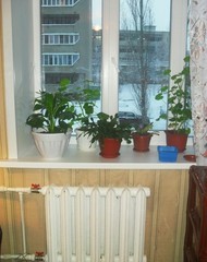 Фото комнаты на продажу (5)