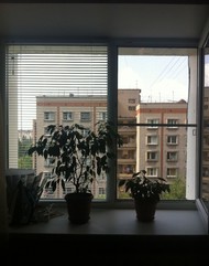 Фото комнаты на продажу (4)