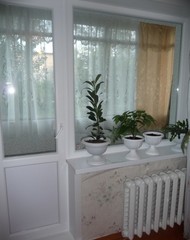 Фото комнаты на продажу (4)