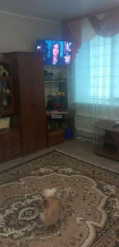 2-к квартира, на длительный срок, 51м2, 1/2 этаж