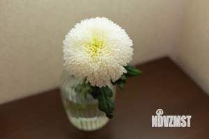 2-к квартира, посуточно, 54м2, 1/1 этаж