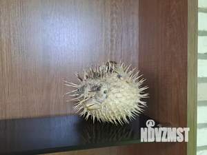 1-к квартира, посуточно, 33м2, 2/5 этаж