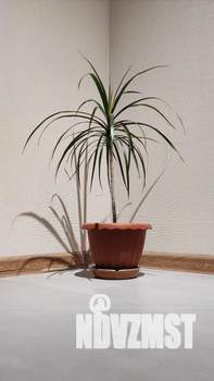 Студия квартира, посуточно, 35м2, 15/18 этаж