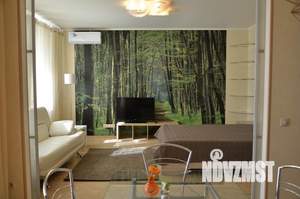 Студия квартира, посуточно, 46м2, 8/10 этаж