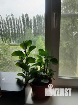 3-к квартира, вторичка, 63м2, 3/9 этаж