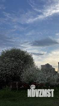 3-к квартира, вторичка, 60м2, 3/15 этаж