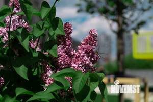 Студия квартира, сданный дом, 27м2, 2/17 этаж