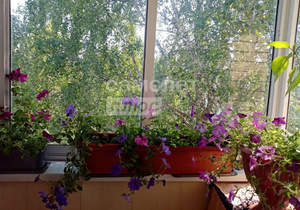 3-к квартира, вторичка, 60м2, 5/5 этаж