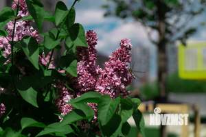 1-к квартира, сданный дом, 32м2, 5/17 этаж