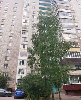 1-к квартира, вторичка, 35м2, 6/12 этаж