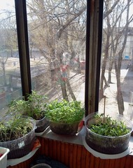 комната в общежитии, 18м2, 4/4 этаж